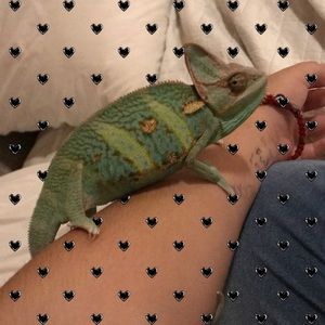 Meet your Posher, Julissa